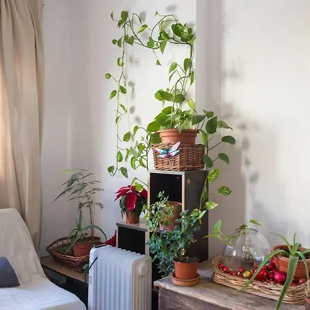 Homestay House Fata